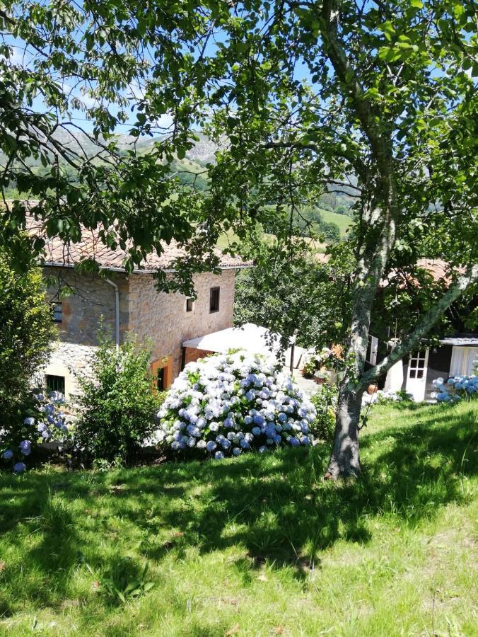 La Casa Nueva Alojamiento Rural Cereceda (Asturias) Exterior foto